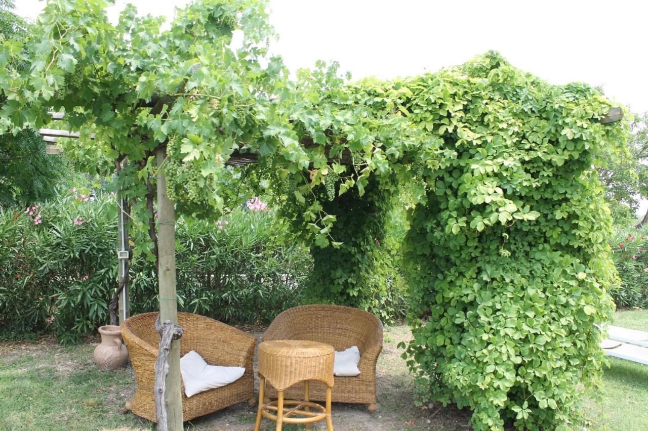 Agriturismo B&B Le Casette Sul Garda Cavaion Veronese Exterior foto
